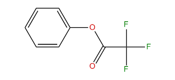 Phenyl 2,2,2-trifluoroacetate